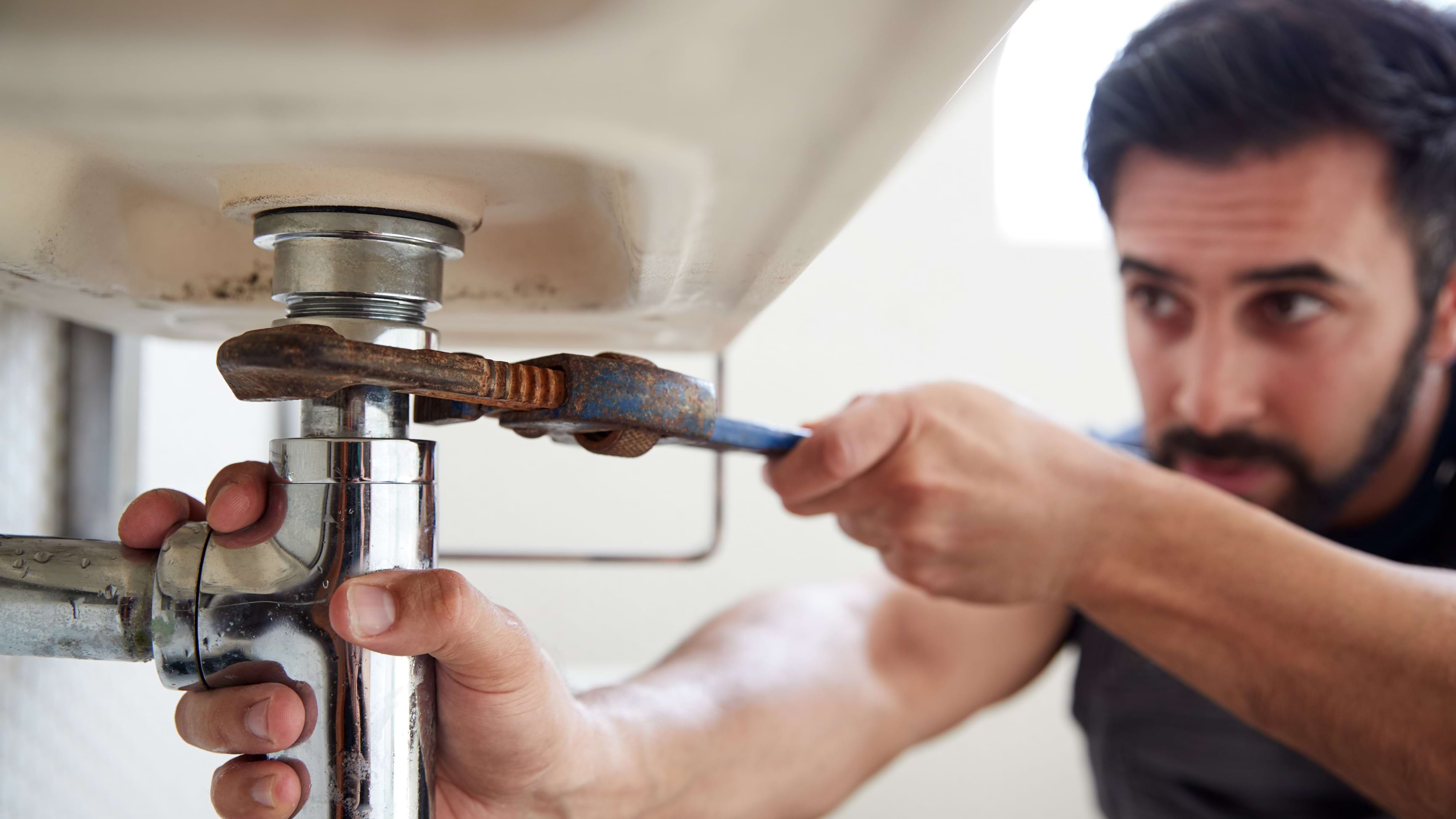 Plumber fixing a kitchen sink